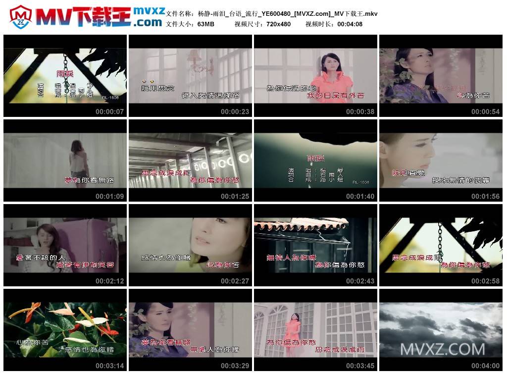 杨静-雨泪_台语_流行_YE600480